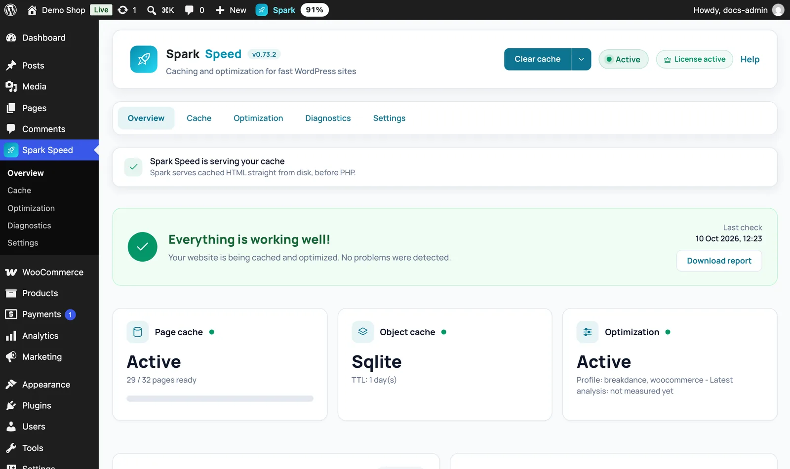 The Spark Speed Overview after activation showing that the cache is being served