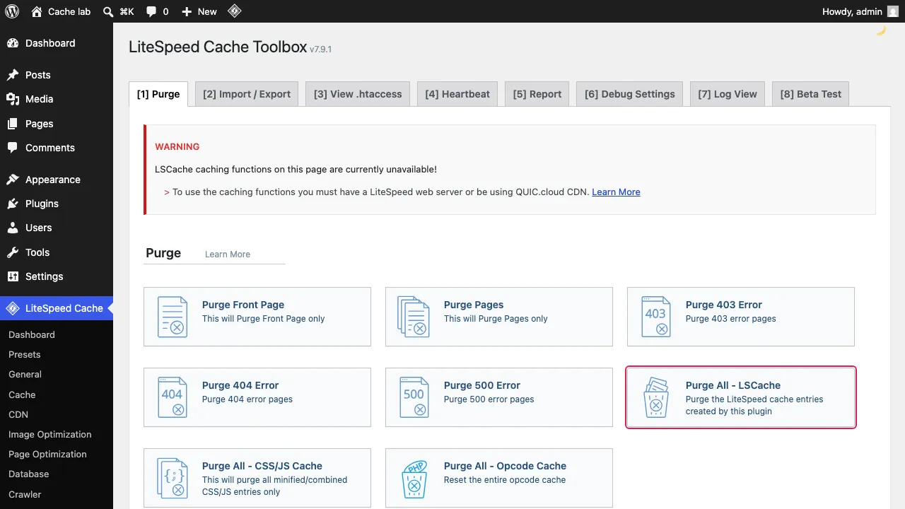 LiteSpeed Cache Toolbox with the Purge tab and the Purge All - LSCache tile highlighted